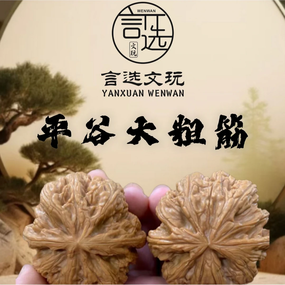 八爪金龙平谷大粗筋文玩核桃