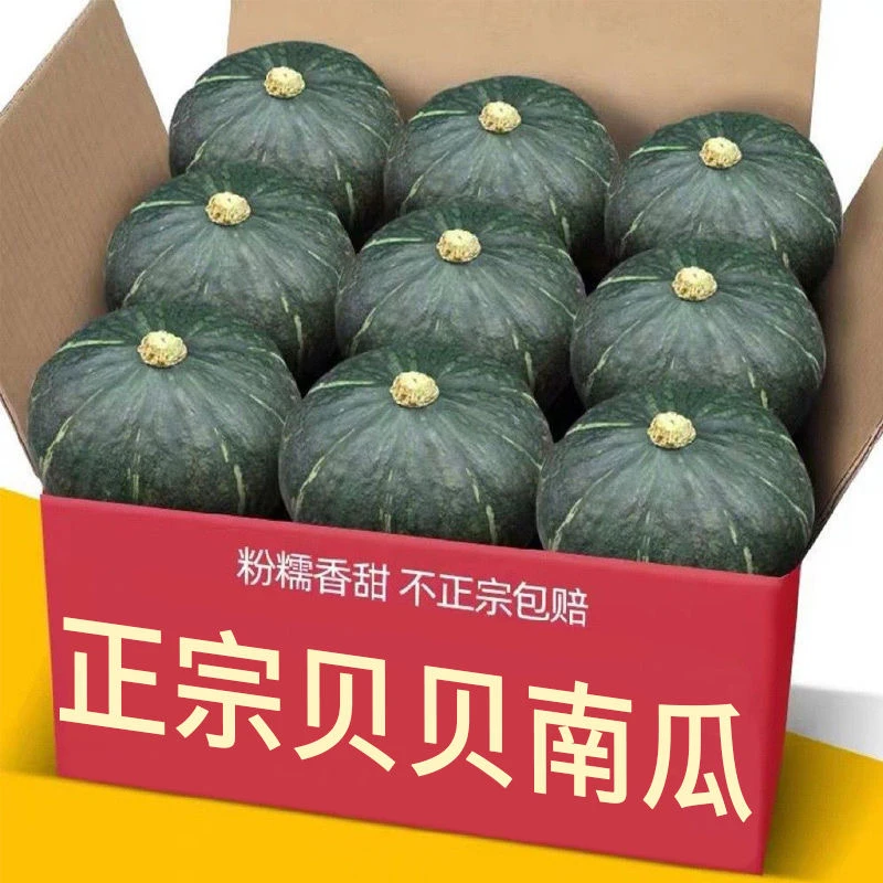 正宗【爆粉老贝贝南瓜板栗味】贝贝南瓜粉糯香甜孕宝辅食新鲜果蔬
