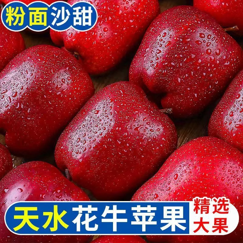 正宗【甘肃天水花牛苹果】脆粉两吃蛇果老人宝宝辅食当季新鲜水果