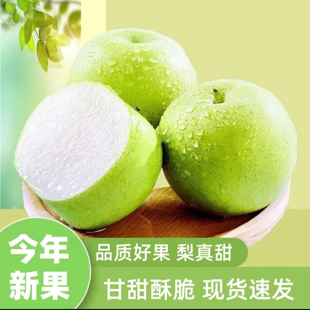 2024砀山新鲜现摘砀山脆冠青皮蜜梨产地现摘现发脆甜多汁鲜果5斤L