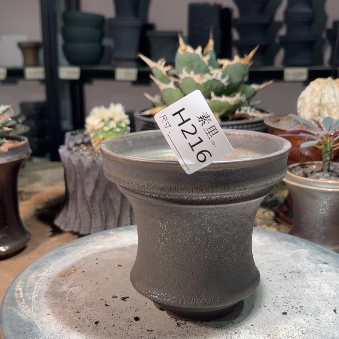 景德镇素里手工内口12.3高12