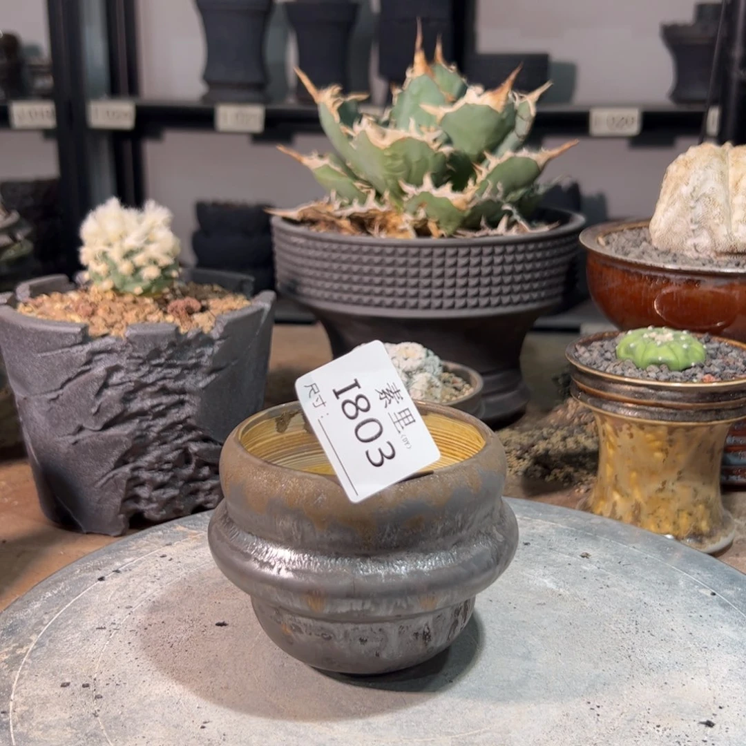 景德镇素里手工内口8高8.5瑕疵