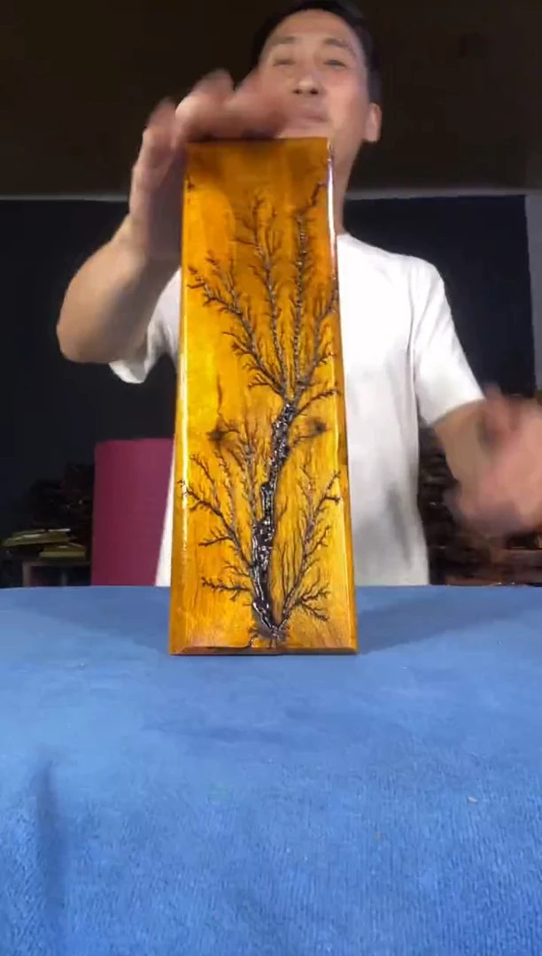 【闪购商品】茶盘本店截图为准(不含配件)