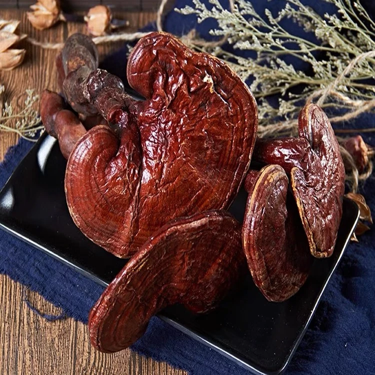 【长白山灵芝】精选正品长白山整支灵芝无熏无硫煲汤泡煮水