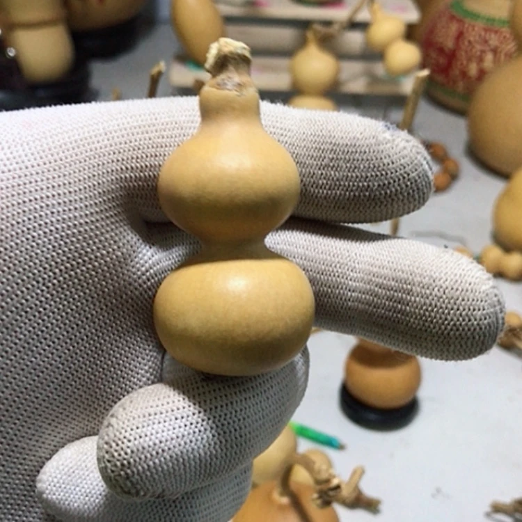 【闪购商品】天然葫芦奋*