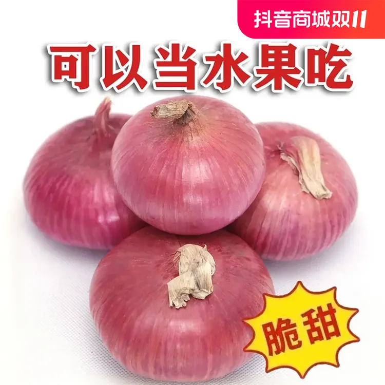 现挖山东新鲜水果洋葱微甜微辣食用生吃专用的农产品 净重5斤装