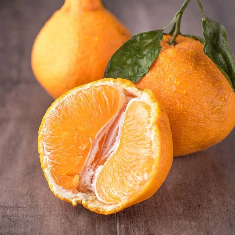 【新鲜丑橘】四川丑橘子不知火丑柑丑八怪 脆甜多汁坏果包赔4.5/8斤