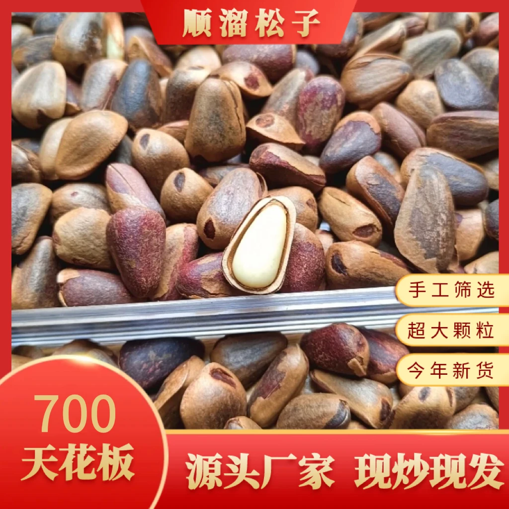 2024年东北红松子700颗粒人工筛选笨炒松子
