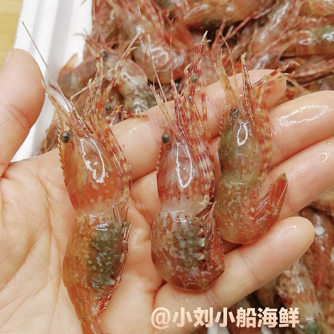 二斤桃花虾 渤海特产 自家小船捕捞 顺丰发货