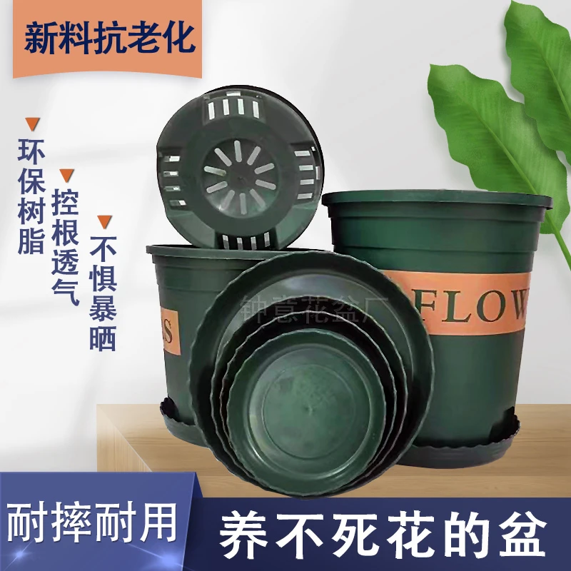 绿色2#加仑4个盆送4个托 口21高21全新耐晒种龟背竹法师透气性