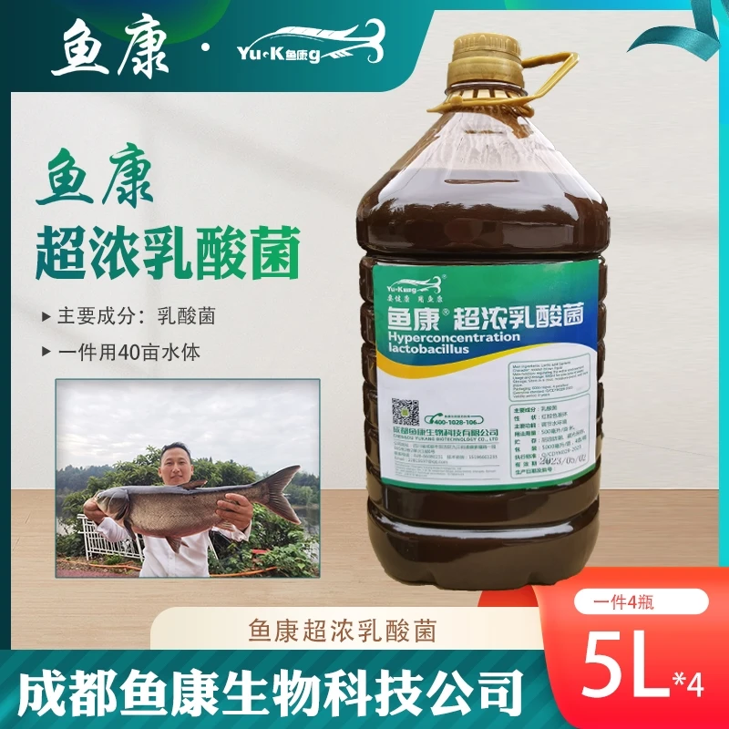 鱼康超浓乳酸菌一箱调节水环境乳酸菌菌种