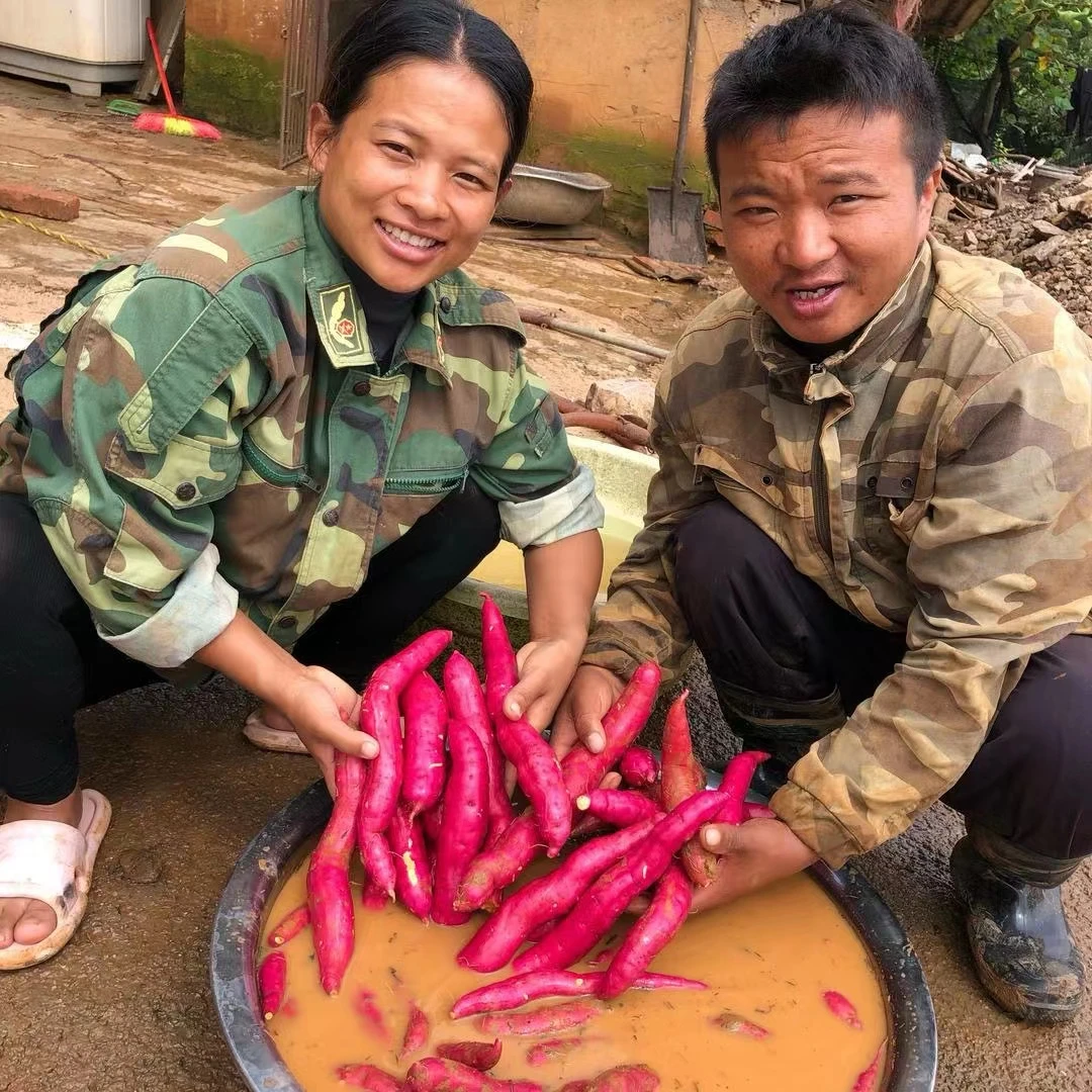 云南高原密薯（自产自销哦）
