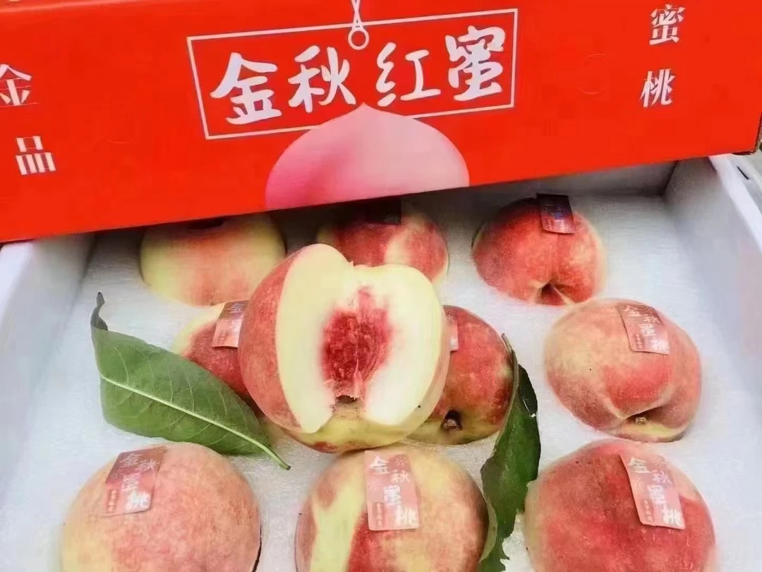 金秋蜜桃净重5斤脆甜应季水果包邮坏果包赔