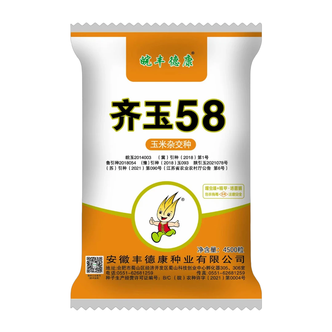 齐玉58高产玉米种子抗倒伏抗高温不花棒抗锈病耐淹