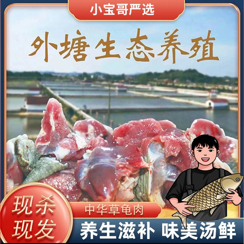 【1南丰兄弟】外塘生态养殖中华草龟肉三斤装京东包邮新鲜食用
