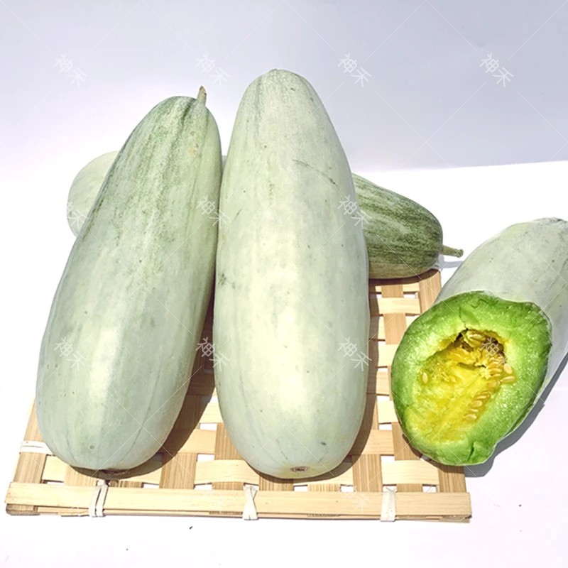 杂交羊角蜜甜瓜种子羊角酥脆甜瓜种籽香瓜春夏季四季水果蔬菜种孑