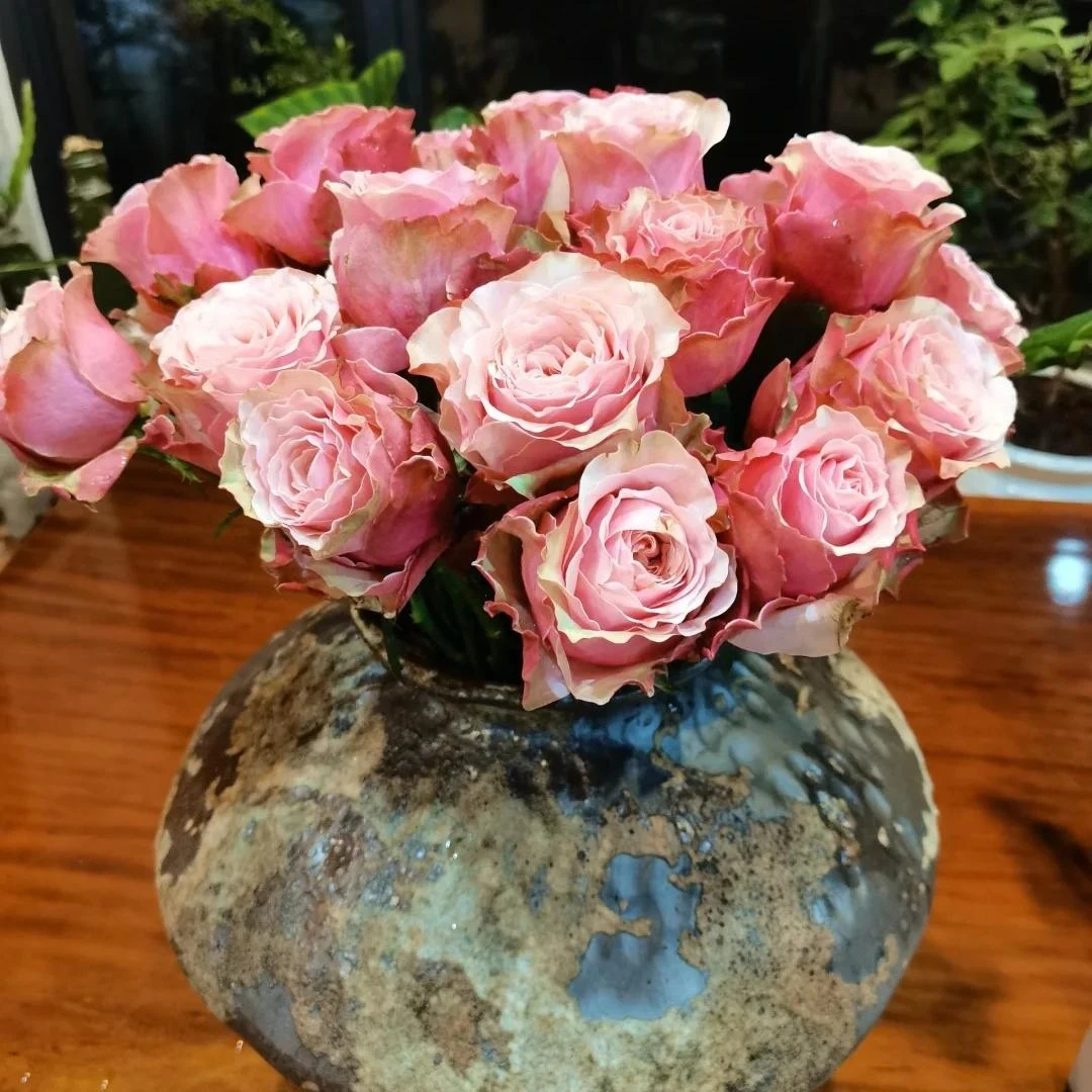 【伯利兹玫瑰】 全场鲜花任意两单及以上包邮
