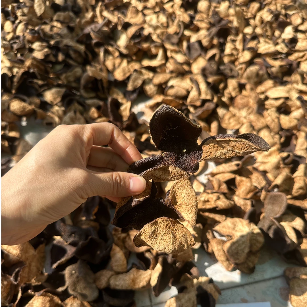 【糯香陈香回甘】2016茶坑圈枝冬后大红二红皮有整有断(直播间为准)