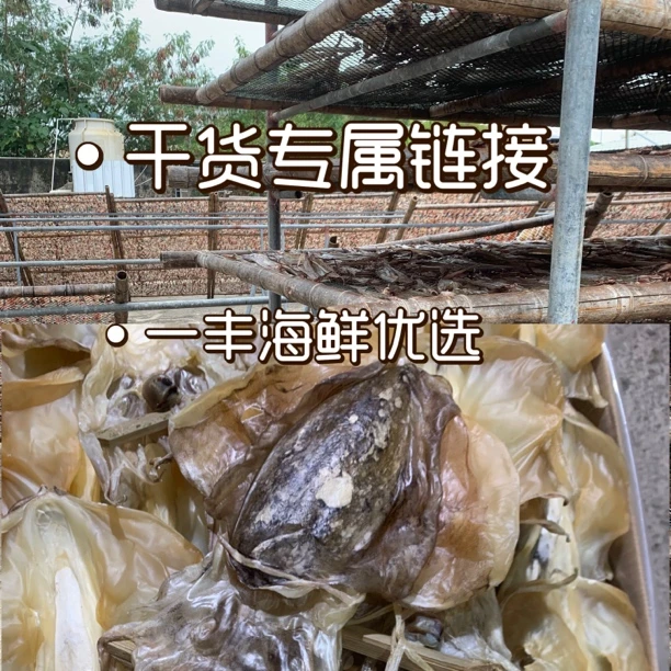 汕尾本港野生干货链接墨鱼干 干货组合