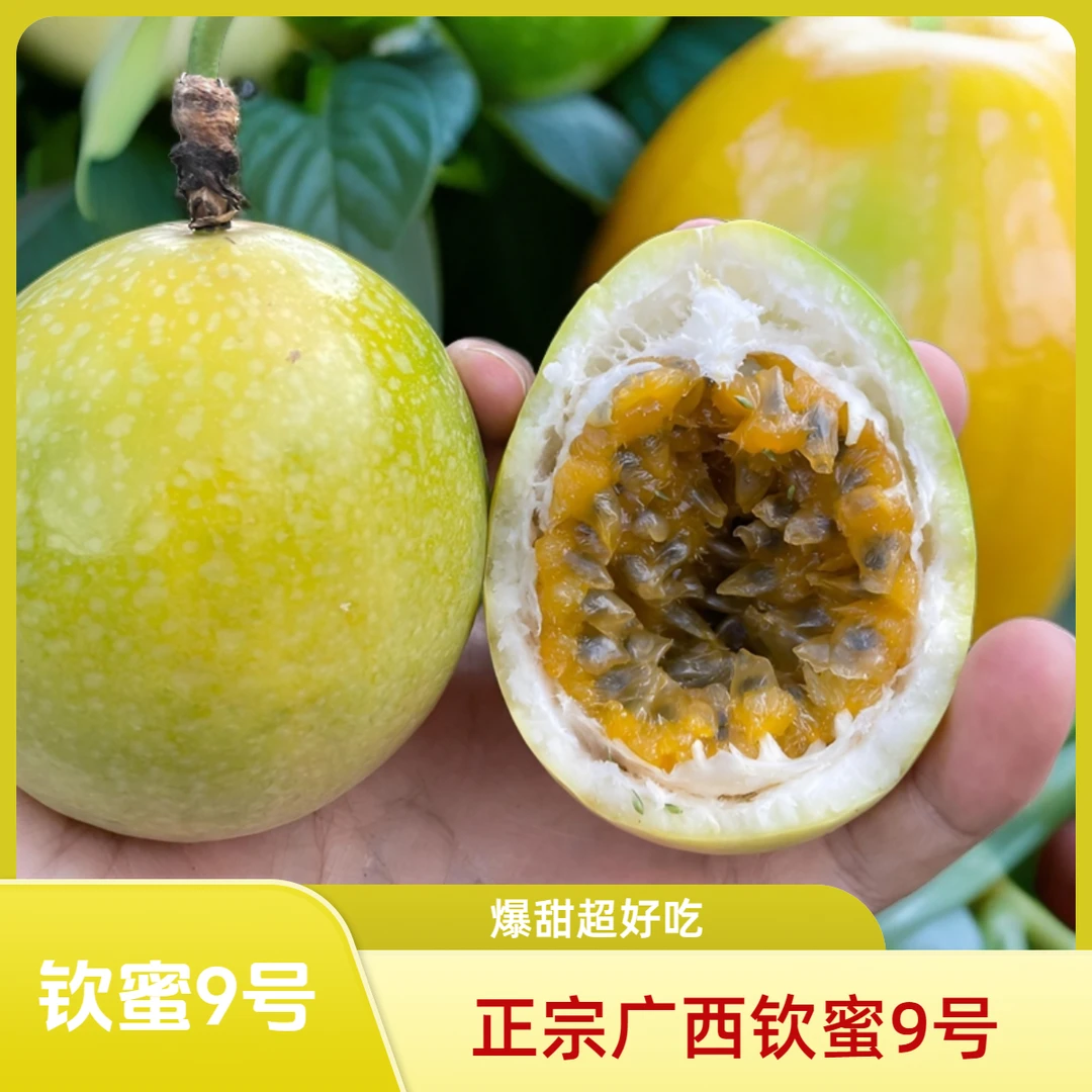 【靖西果】正宗广西钦蜜9号饱满百香果黄金5斤新鲜纯甜3斤5斤中大果