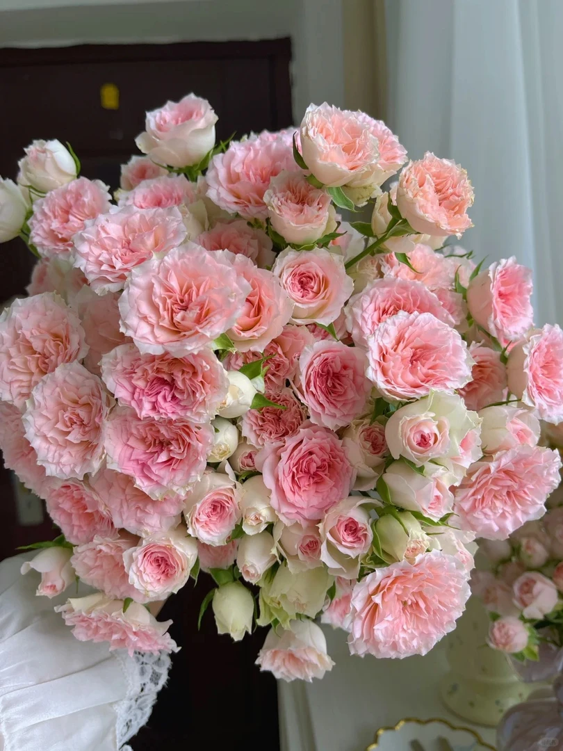 【情迷罗拉泡泡套餐】云南鲜花基地直发鲜切花玫瑰