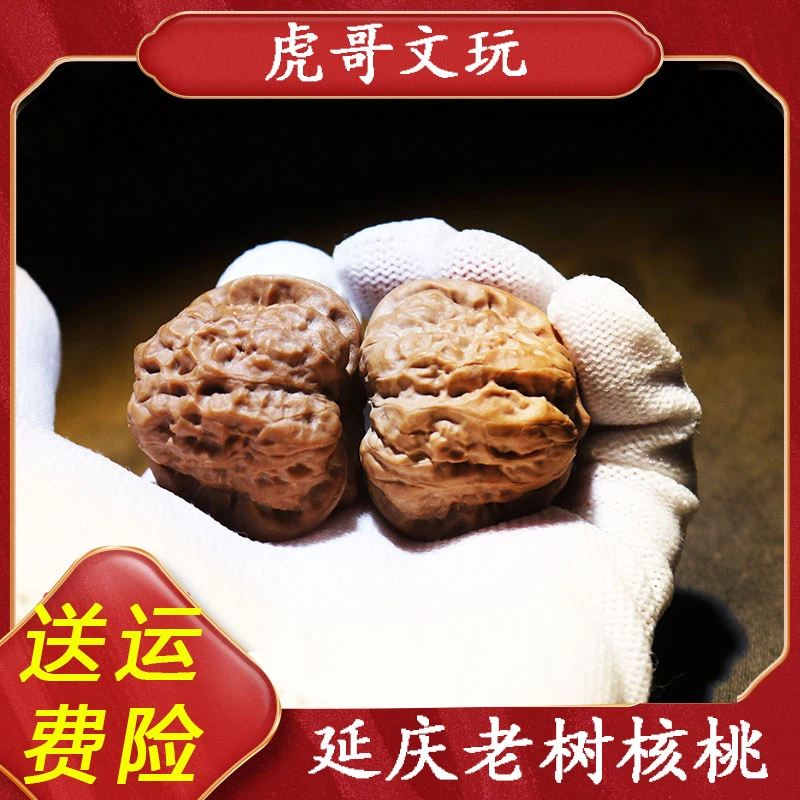 精品延庆老树低桩闷尖金蟾蛤蟆头全品无修文玩核桃