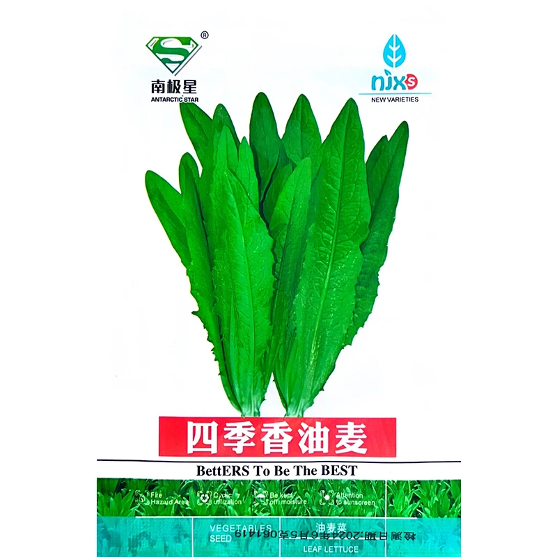 四季香油麦菜种子青菜种籽仔阳台菜籽盆栽籽种蔬菜孑春季菜种大全