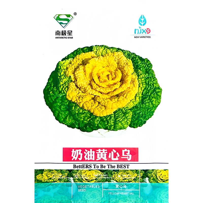 奶油黄心乌塌菜种孑耐寒黄金卷芯菜籽白菜蔬菜种子乌塔菜青菜种籽