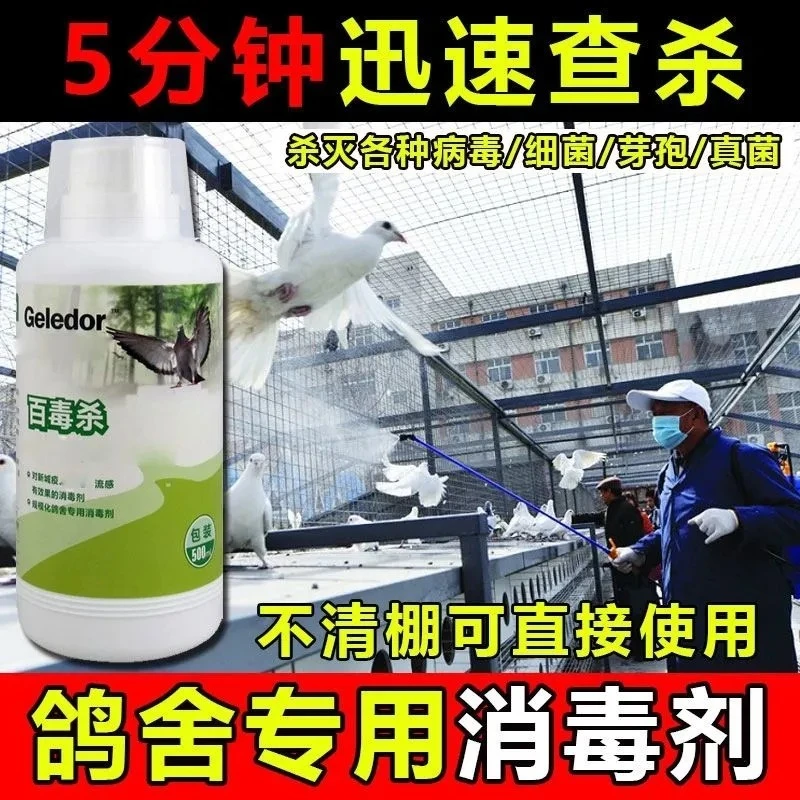 格莱德百毒杀消毒剂鸽舍鸽棚消毒液鹦鹉鸟笼杀菌鸽子保健品