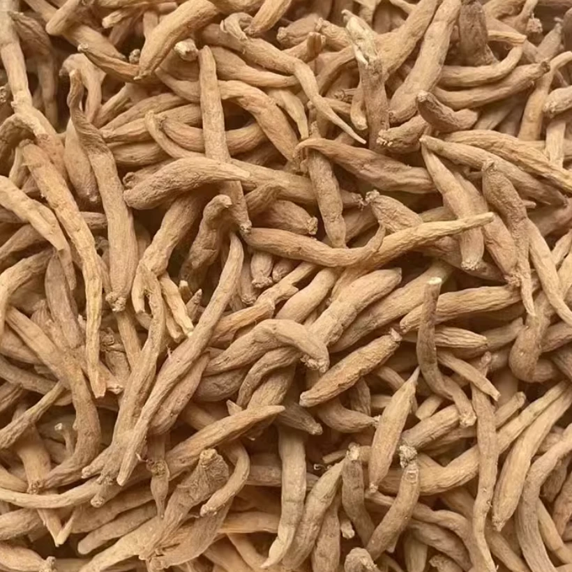 滇缅农品（态/紫/生）非菌菇