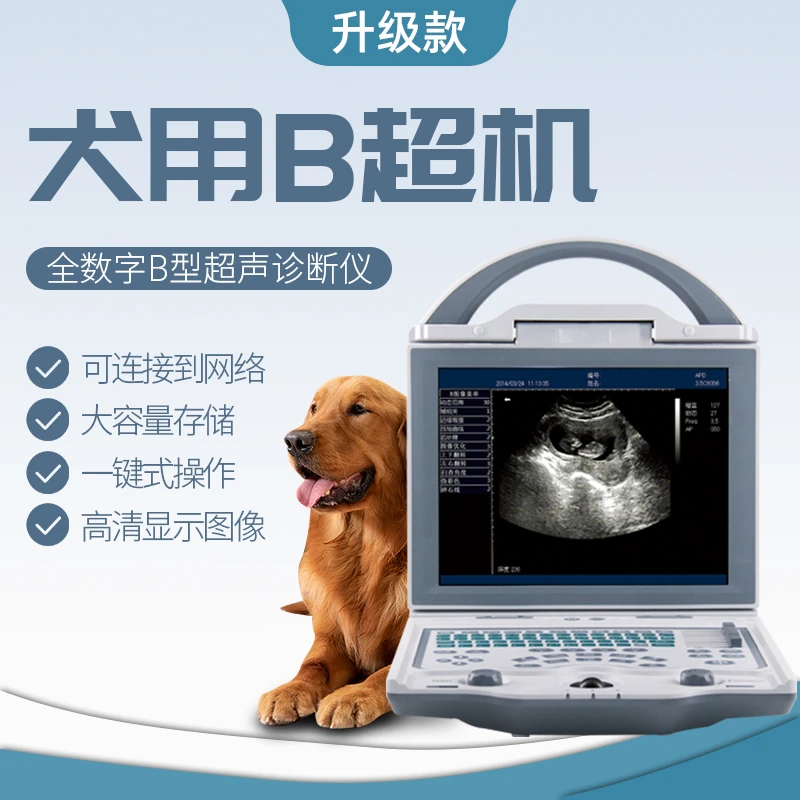 BATERSUARG/倍特双犬用B超