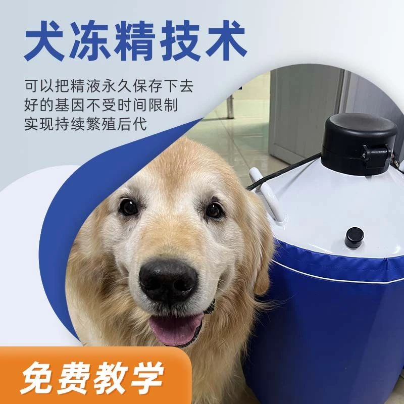 BATERSUARG/倍特双犬冻精全套设备耗材技术（犬精子银行永久保存）