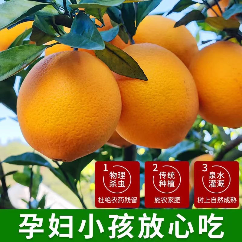 【坏果包赔】正宗赣南脐橙现摘现果香浓郁皮薄清甜多汁饱满酸甜爆汁
