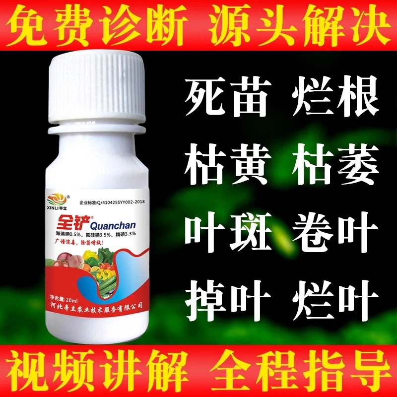 花卉植物绿植防病死苗烂根枯萎黄叶卷叶烂叶掉叶纠正缺素园艺通用