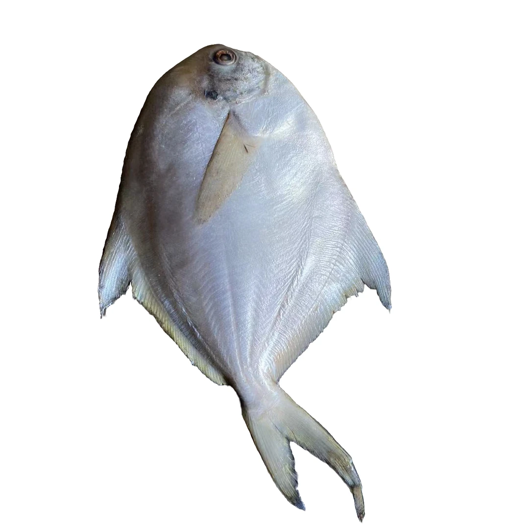 野生黄海鱼急冻锁鲜