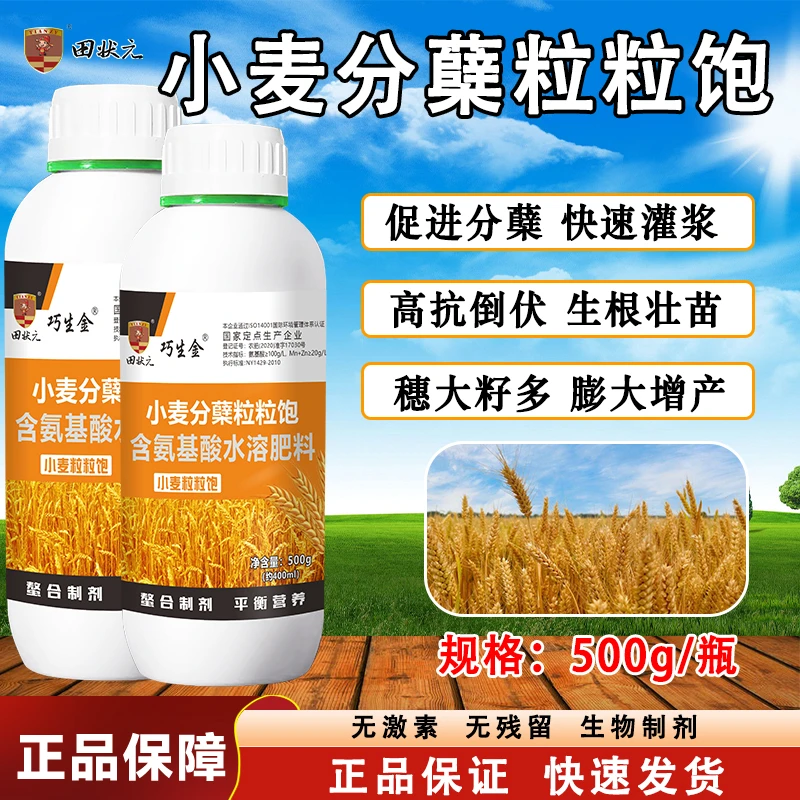小麦增产专用叶面肥高产促进分蘖加速灌浆抗倒伏籽粒饱满生根壮苗
