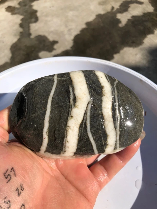 天然鹅卵石摆件长12宽7厚5厘米重0.6公斤