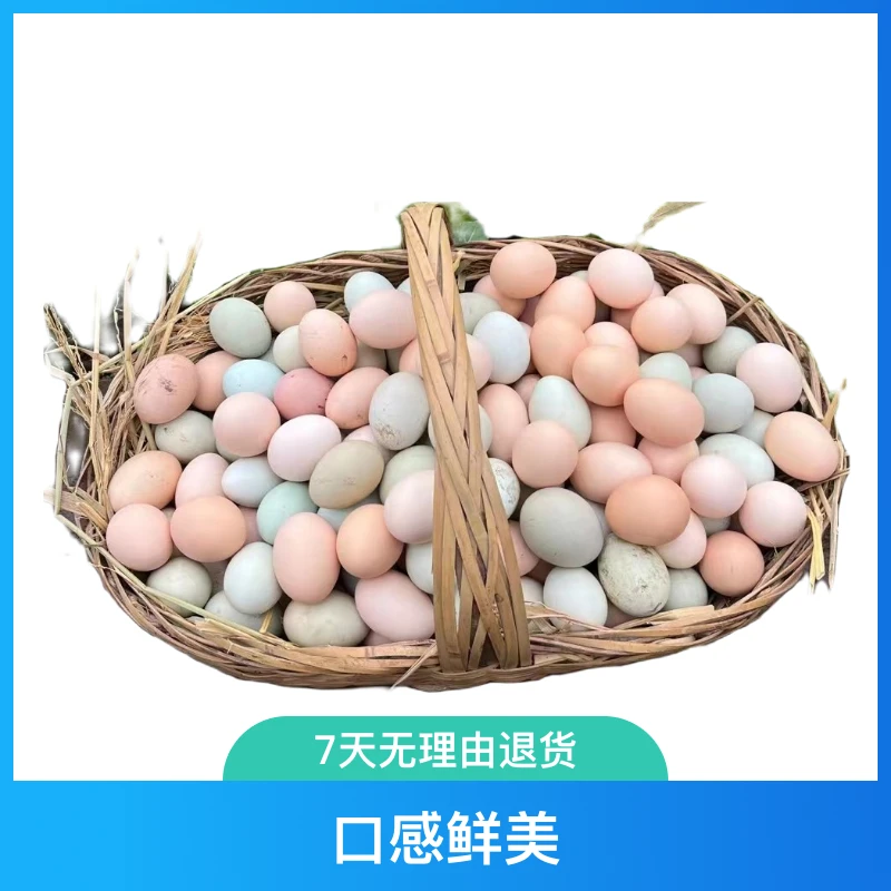 zhongyu/众宇森林下散养土鸡蛋和绿壳蛋（40枚）组合