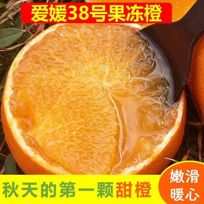 【顺丰】四川正宗爱媛38果冻橙5/8.5果园新鲜采摘自然成熟香甜多汁