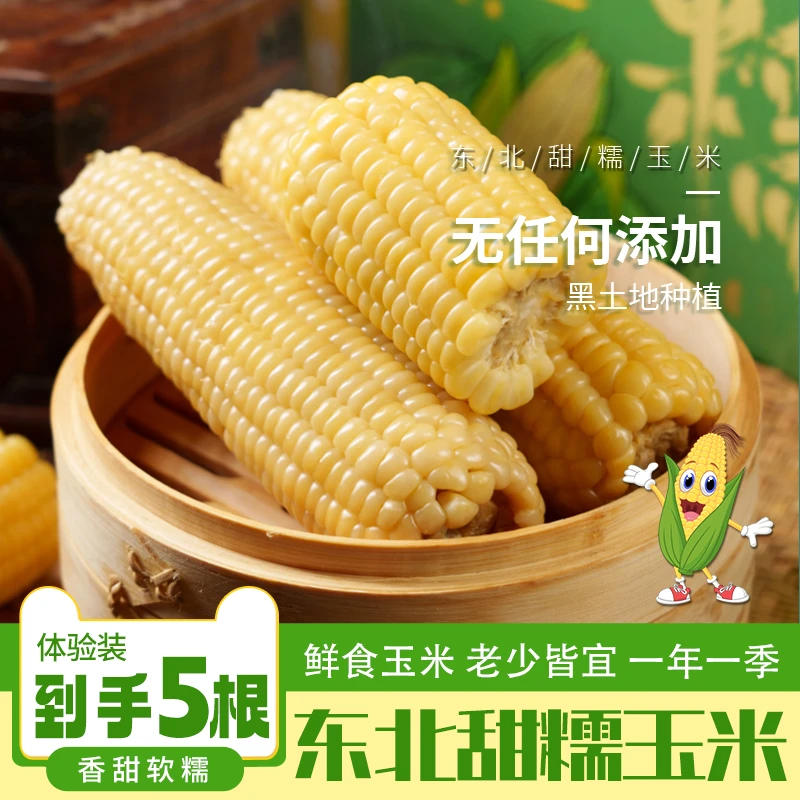 【体验装五根】东北甜糯玉米香甜软糯真空锁鲜包邮甄选品质