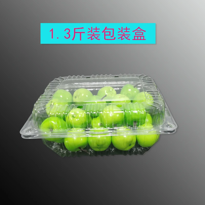 龙兴果蔬包装 650g1.3斤装 PET水果蔬菜包装盒  家用透明果蔬储物