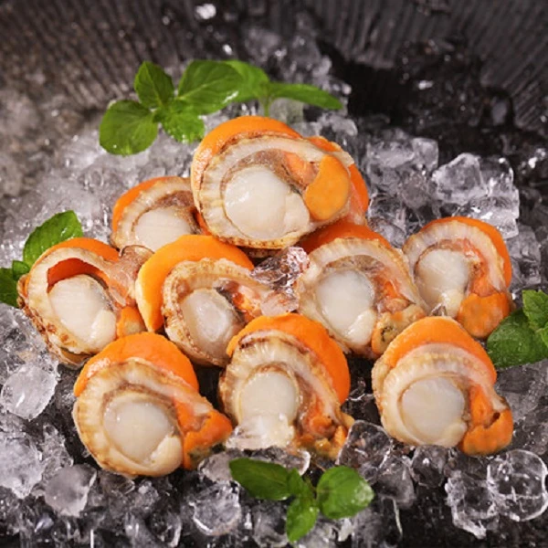 【5包扇贝请吃】新鲜扇贝肉 无泥无沙 公母混装 冷链250g/包