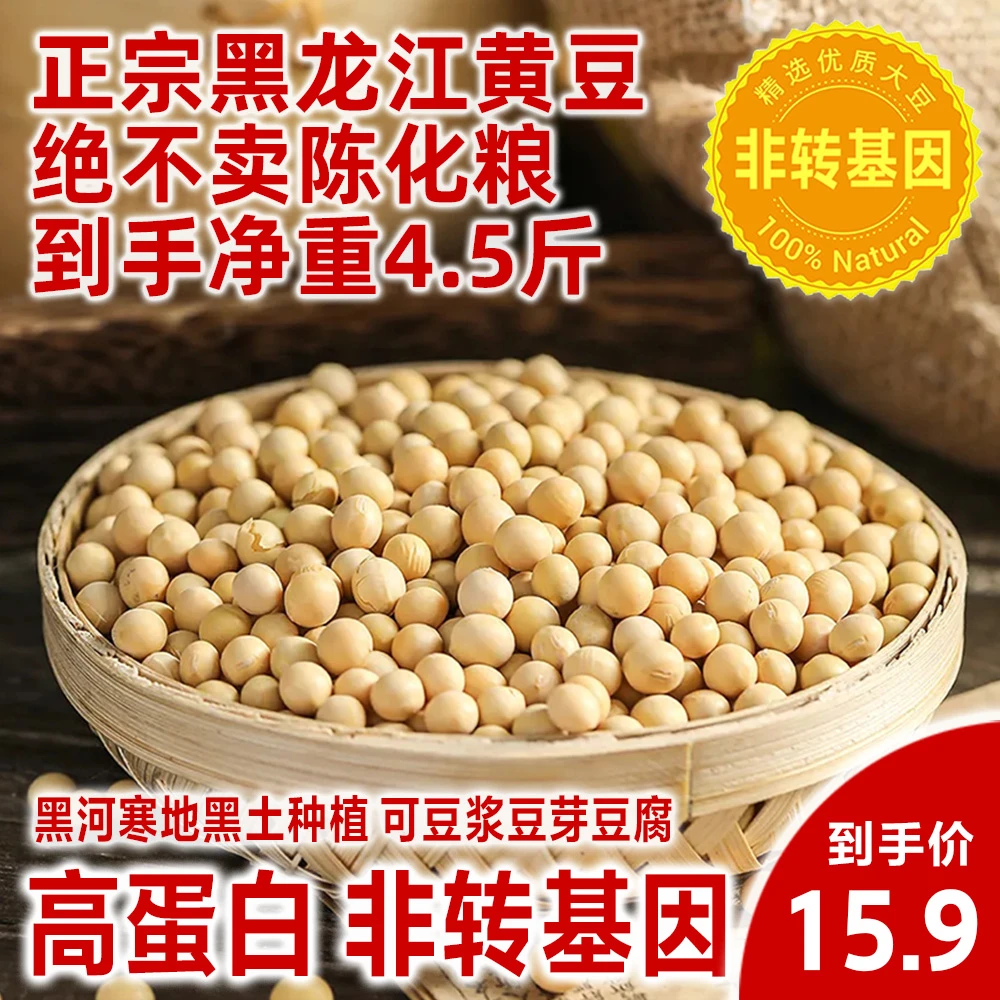 2024新黄豆精选高蛋白非转基因东北农家大豆黄豆
