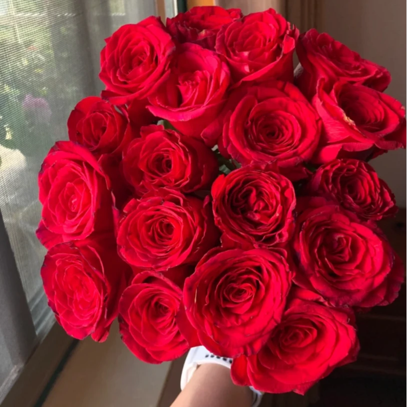 【花浪漫】自由女神重瓣玫瑰＋醒花液 全场任意两单全疆包邮