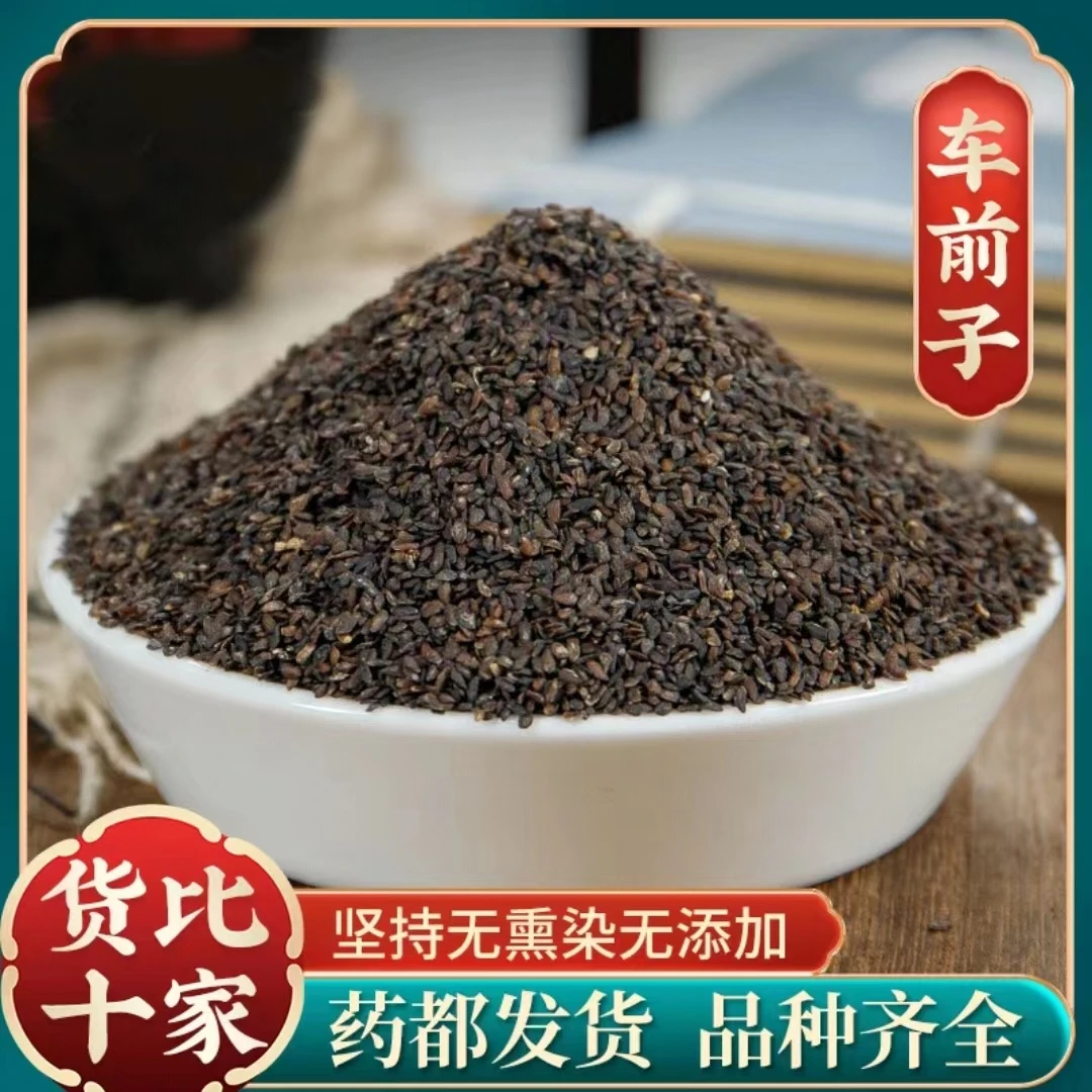 【车前子】正品车前籽 新货车前子茶 车前实 车前草籽精选正宗包邮