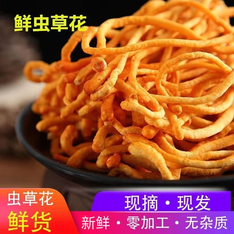孢子头虫草花新鲜 非干货无硫虫草化虫草炖汤煲汤食用高营养