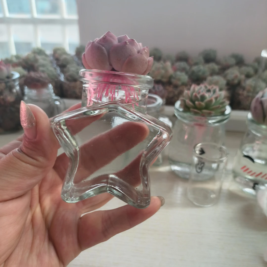 10只多肉水培种植器皿花盆透明玻璃瓶室内植物摆件可爱小瓶子