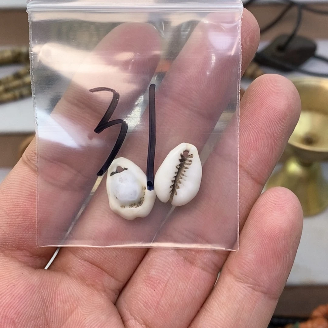 柏香籽/百香籽吊坠。。。。。