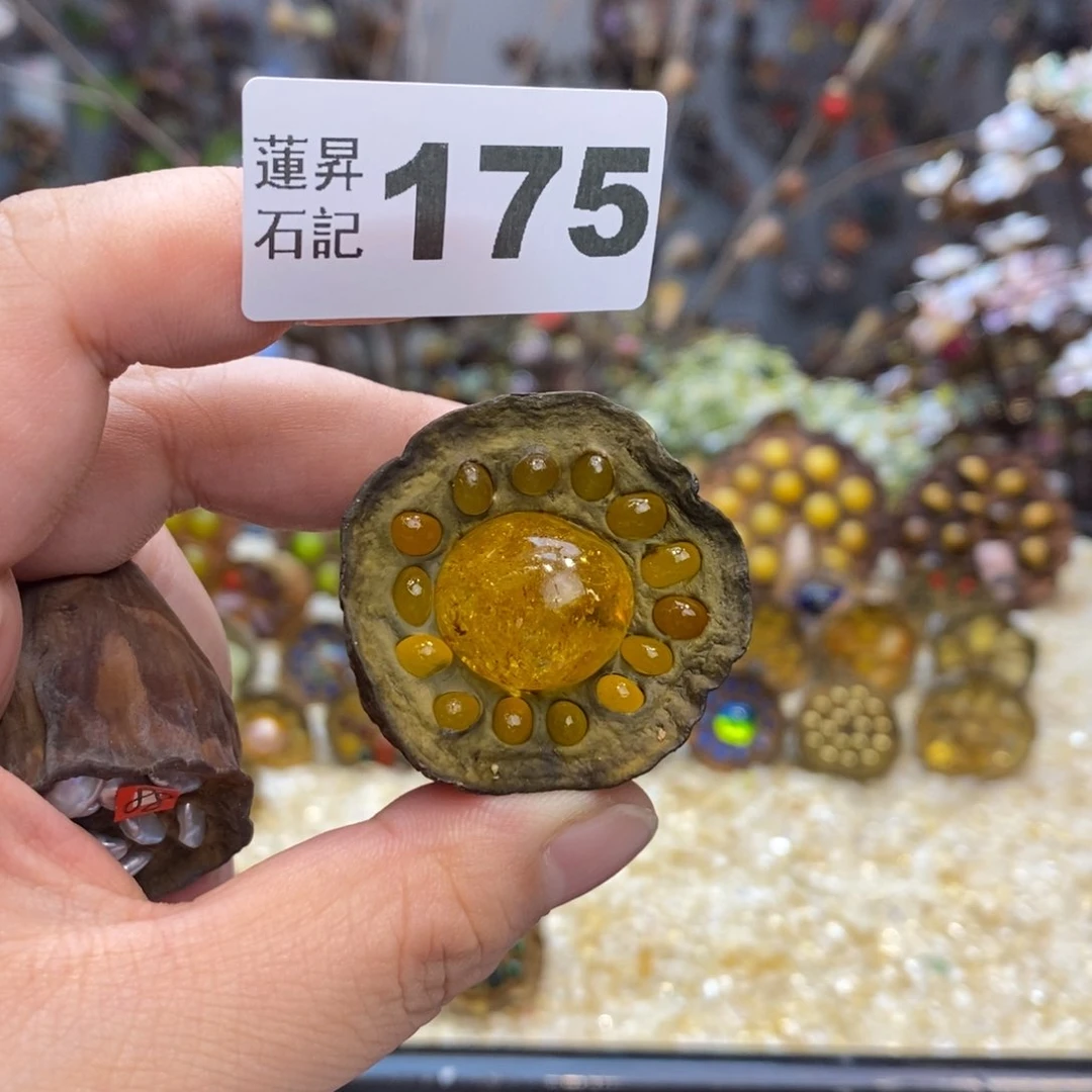 核桃木/黑胡桃（胡桃木）小*姐175