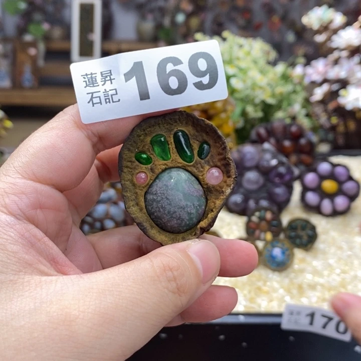 核桃木/黑胡桃（胡桃木）夏**?169